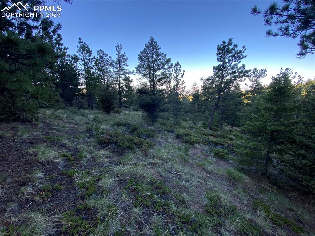 285 Forest Road Manitou Springs CO 80829