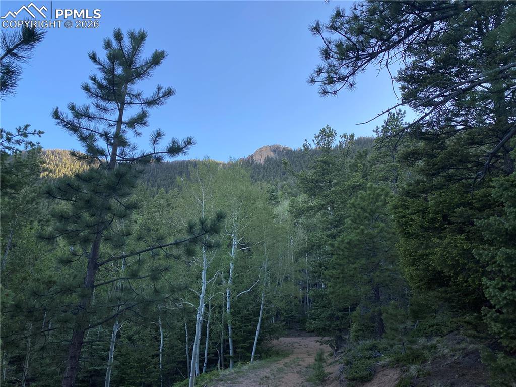 285 Forest Road Manitou Springs CO 80829