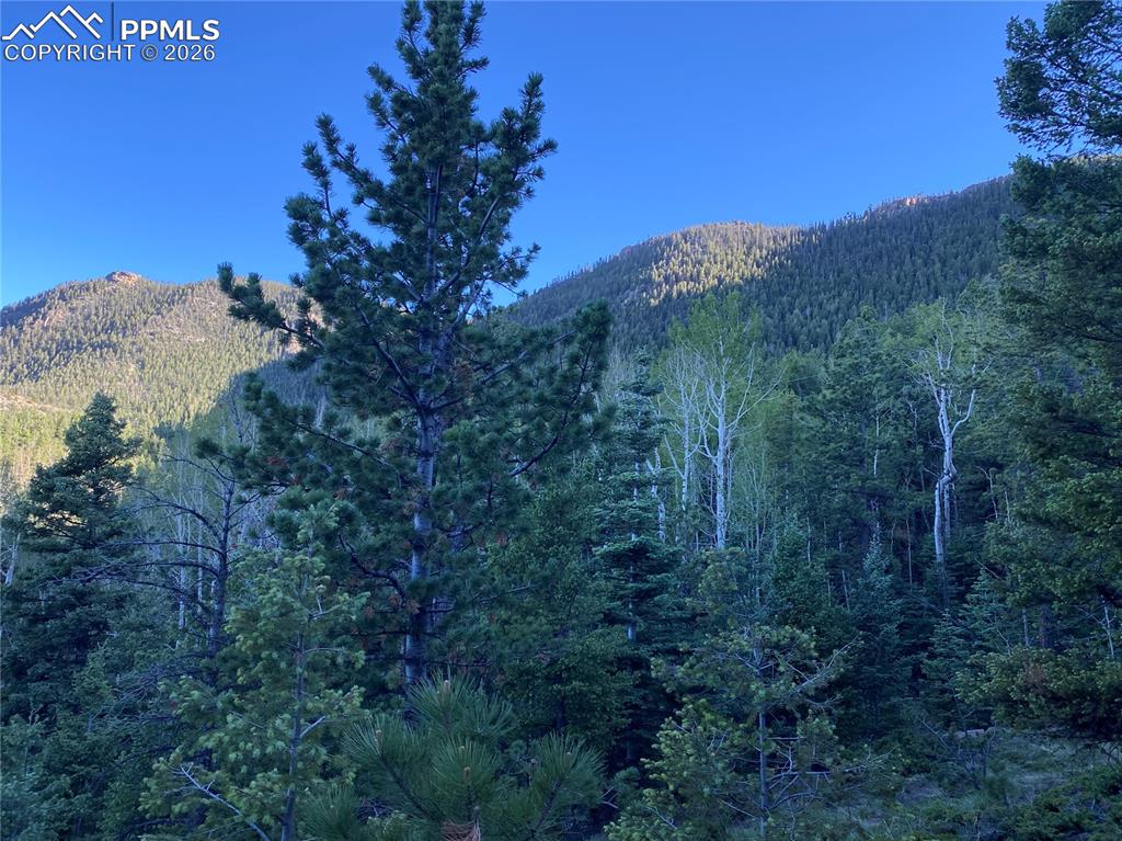 285 Forest Road Manitou Springs CO 80829
