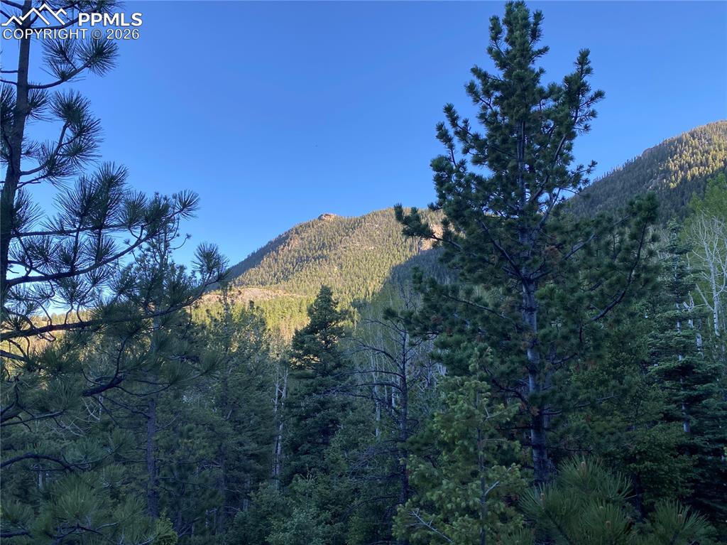 285 Forest Road Manitou Springs CO 80829