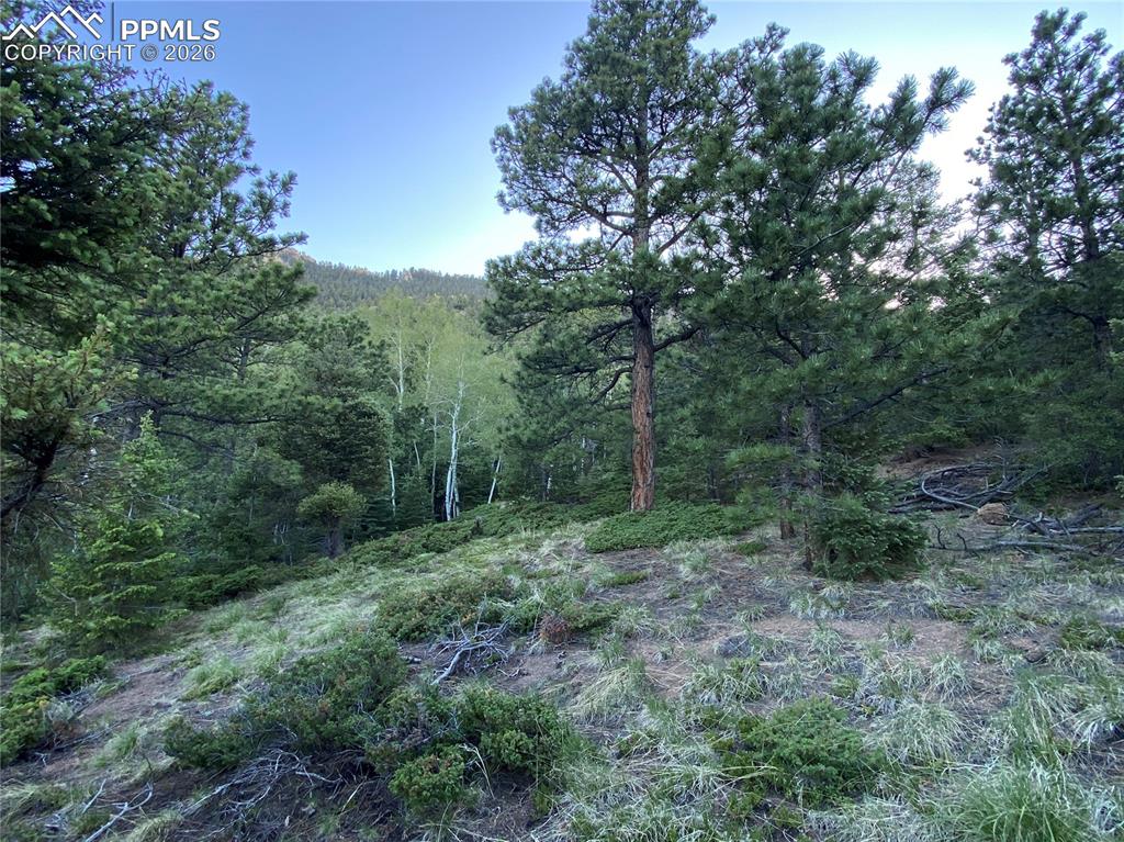 285 Forest Road Manitou Springs CO 80829