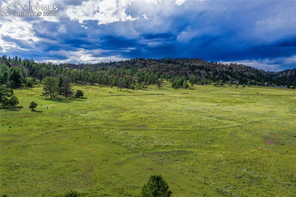Spring Valley Drive Florissant CO 80816
