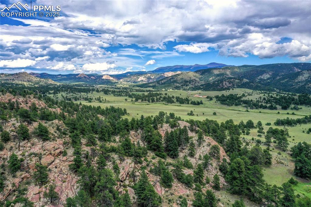 Spring Valley Drive Florissant CO 80816