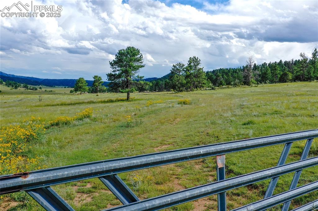 Spring Valley Drive Florissant CO 80816