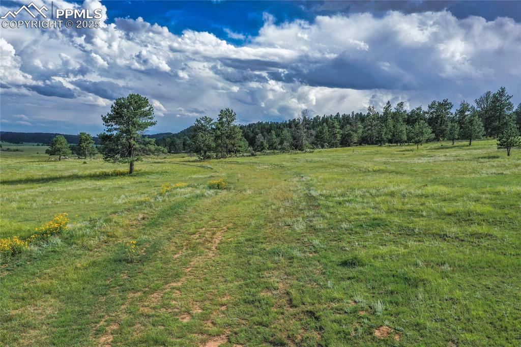 Spring Valley Drive Florissant CO 80816