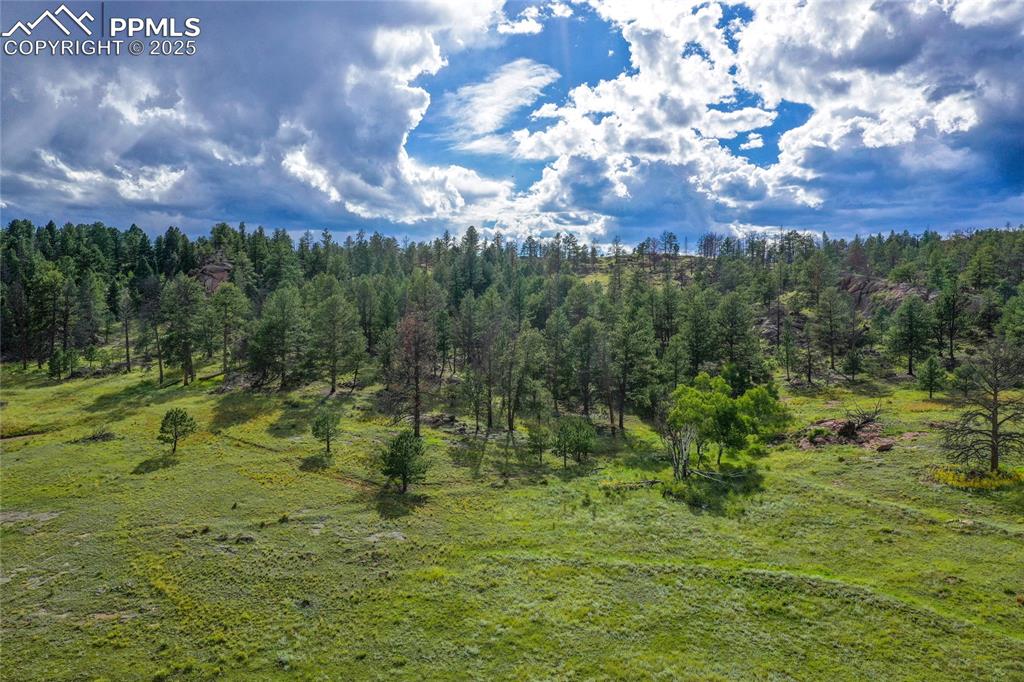 Spring Valley Drive Florissant CO 80816