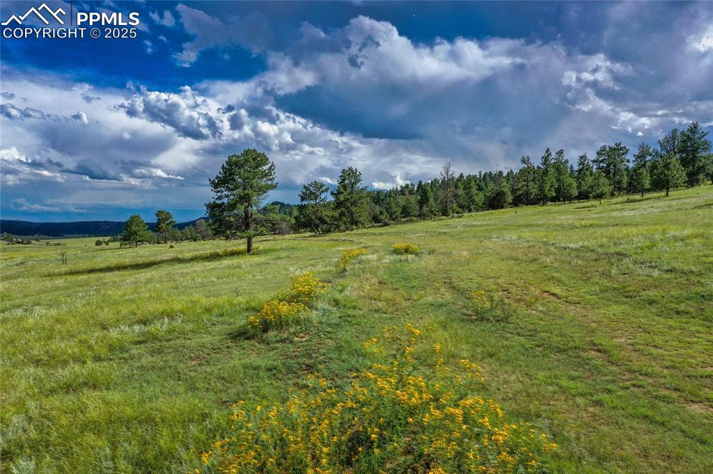 Spring Valley Drive Florissant CO 80816