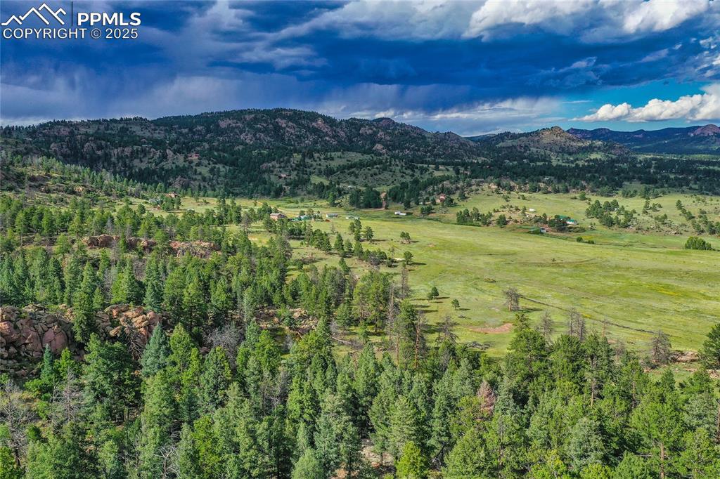 Spring Valley Drive Florissant CO 80816