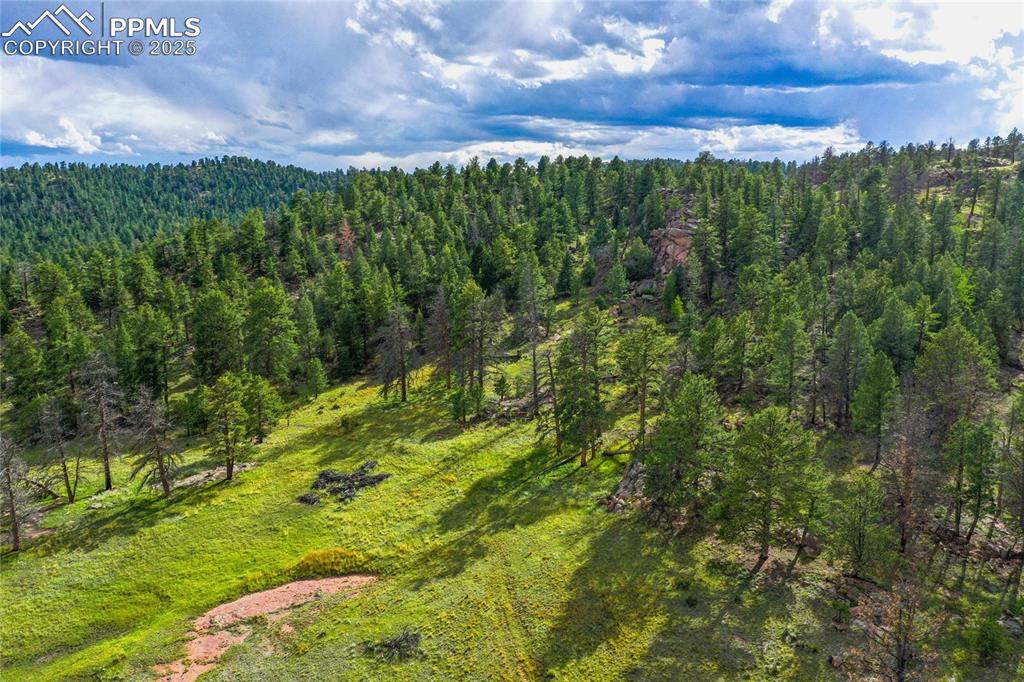 Spring Valley Drive Florissant CO 80816