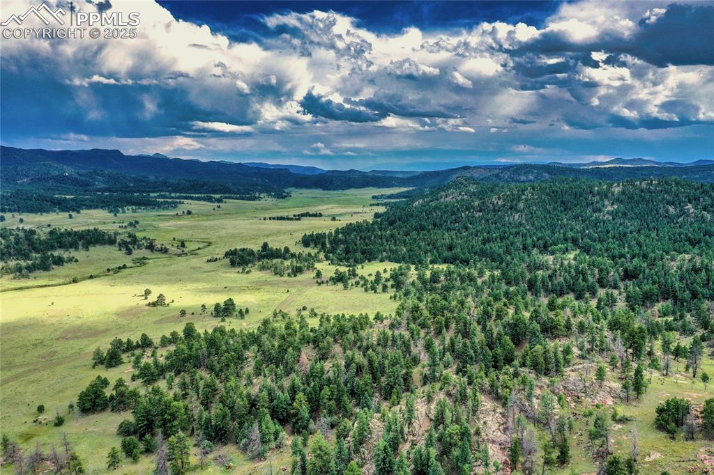 Spring Valley Drive Florissant CO 80816