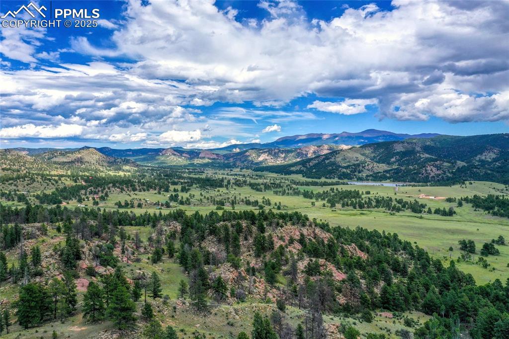 Spring Valley Drive Florissant CO 80816