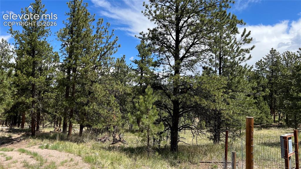 207 Little Bear Drive Westcliffe CO 81252