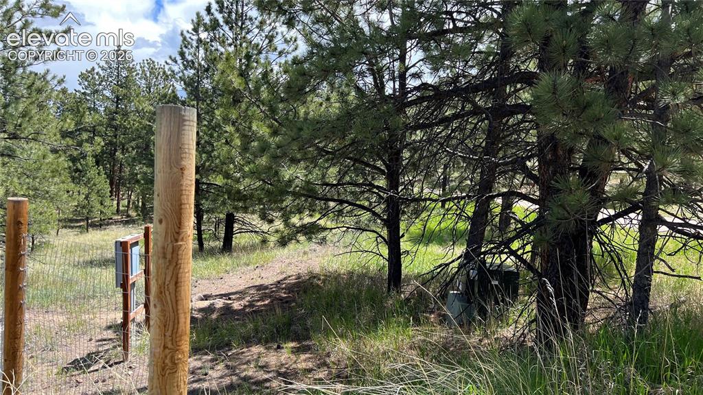 207 Little Bear Drive Westcliffe CO 81252