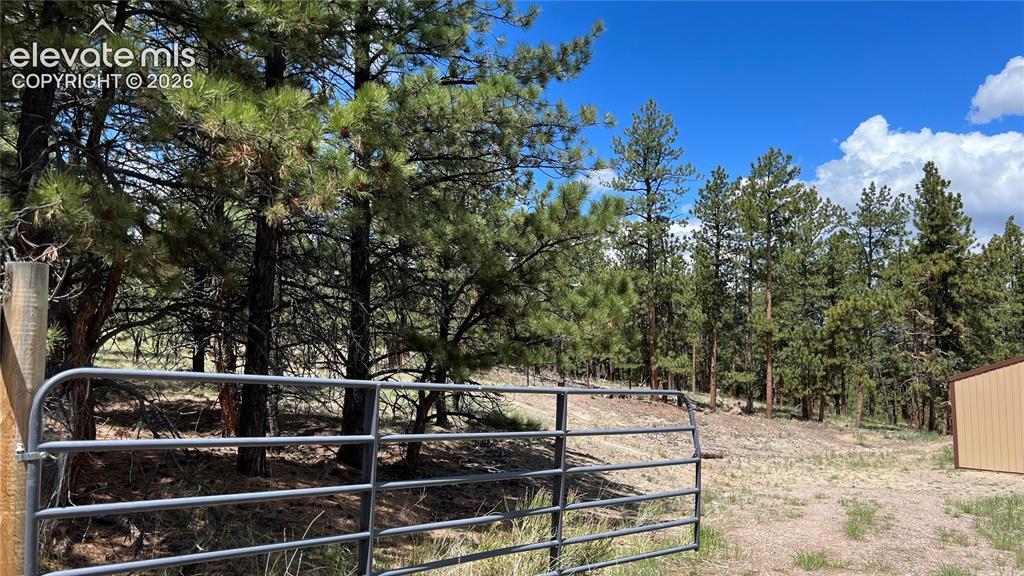 207 Little Bear Drive Westcliffe CO 81252