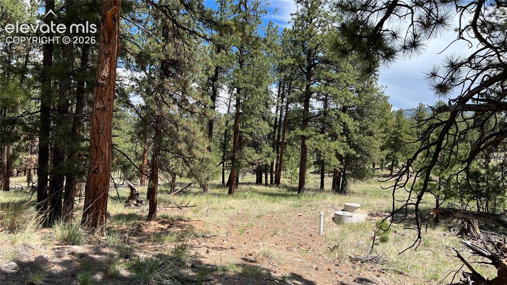 207 Little Bear Drive Westcliffe CO 81252