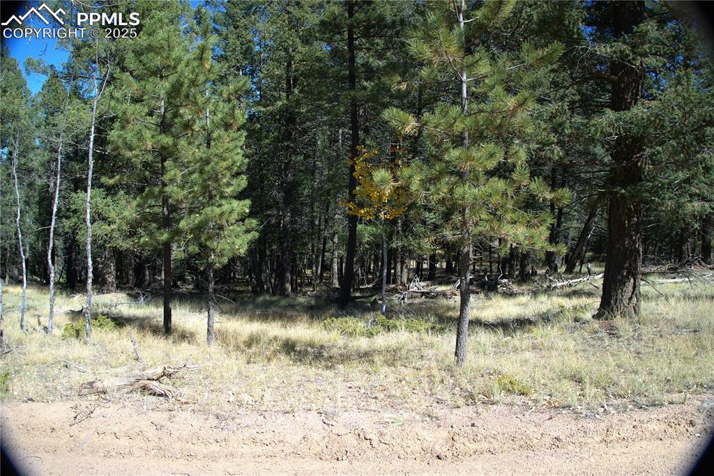 252 Southpark Road Florissant CO 80816