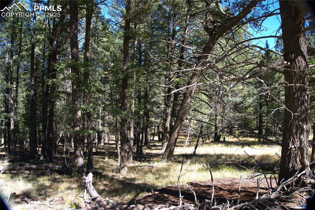 252 Southpark Road Florissant CO 80816