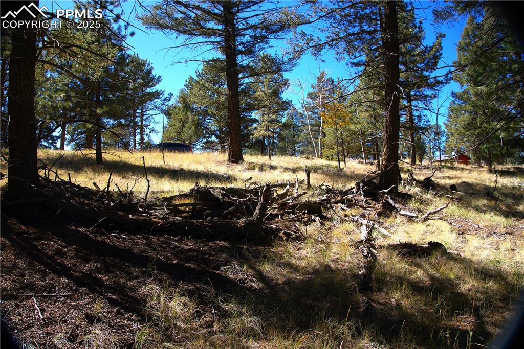 252 Southpark Road Florissant CO 80816