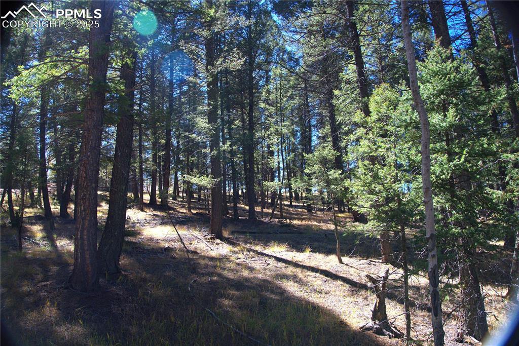 252 Southpark Road Florissant CO 80816