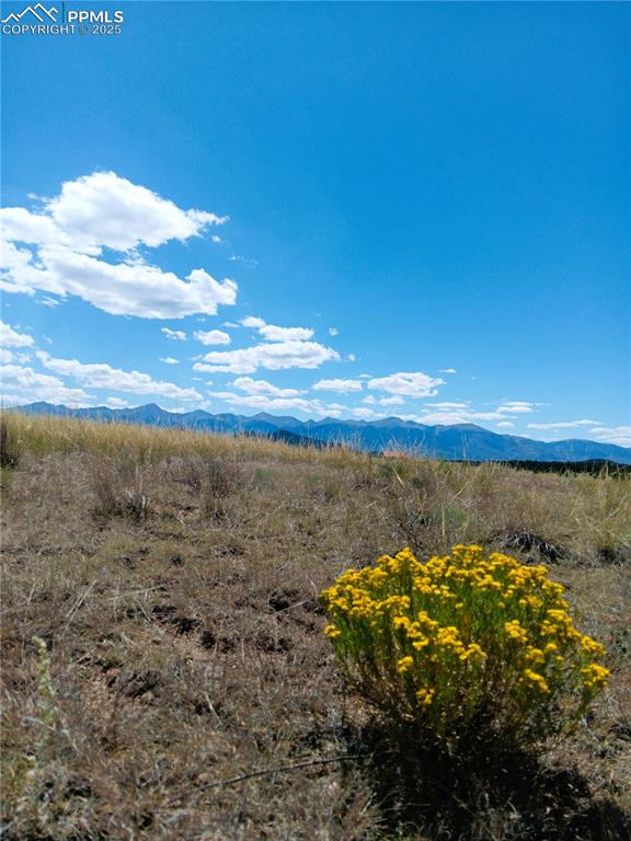 567 Trails End Court Cotopaxi CO 81223