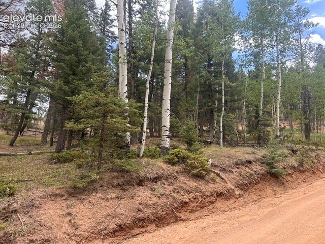 687 Trout Haven Road Florissant CO 80816