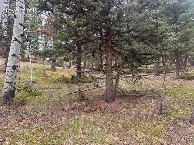 687 Trout Haven Road Florissant CO 80816