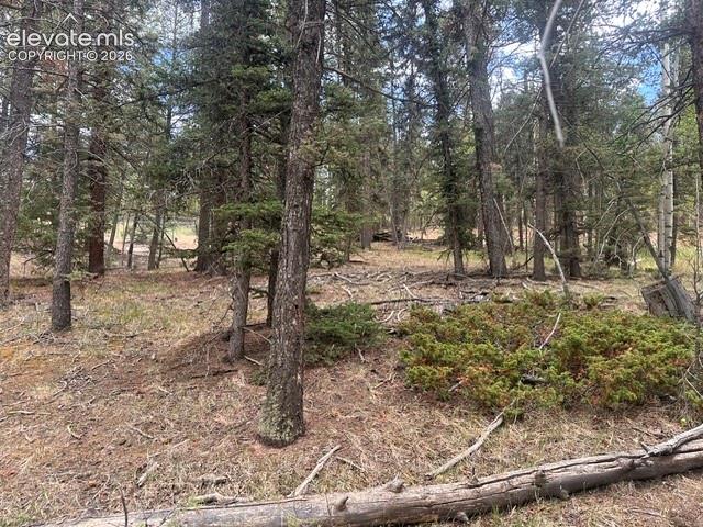 687 Trout Haven Road Florissant CO 80816