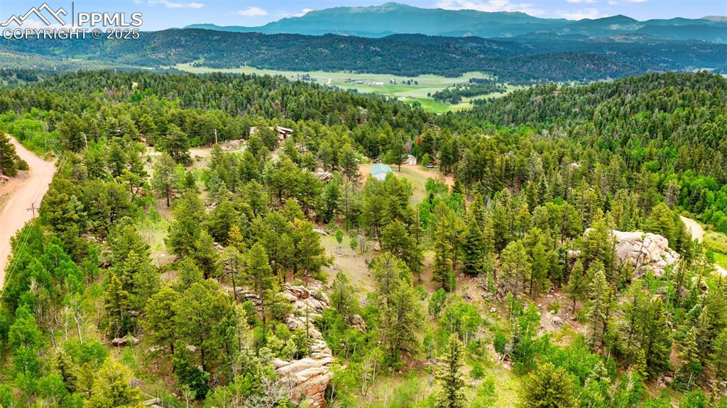 94 & 146 County Road 403 Florissant CO 80816
