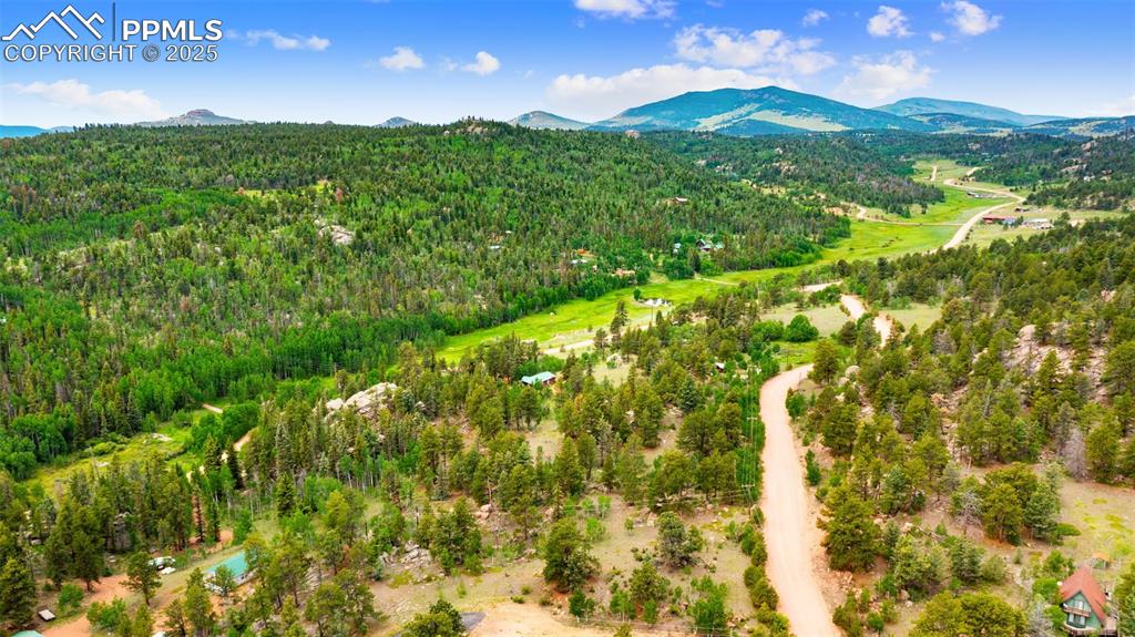 94 & 146 County Road 403 Florissant CO 80816