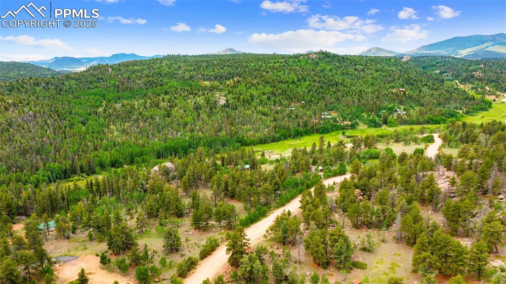 94 & 146 County Road 403 Florissant CO 80816