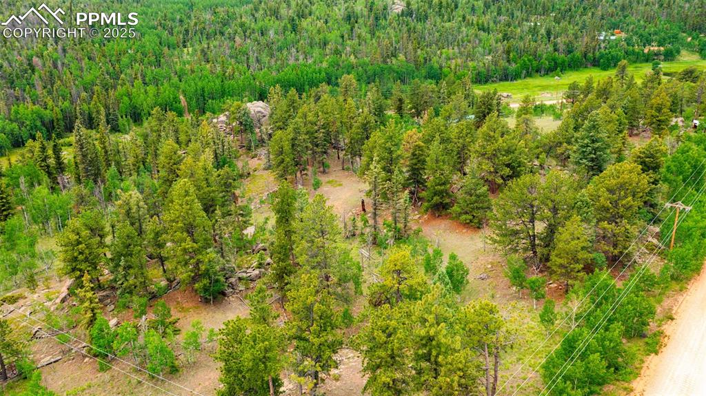 94 & 146 County Road 403 Florissant CO 80816