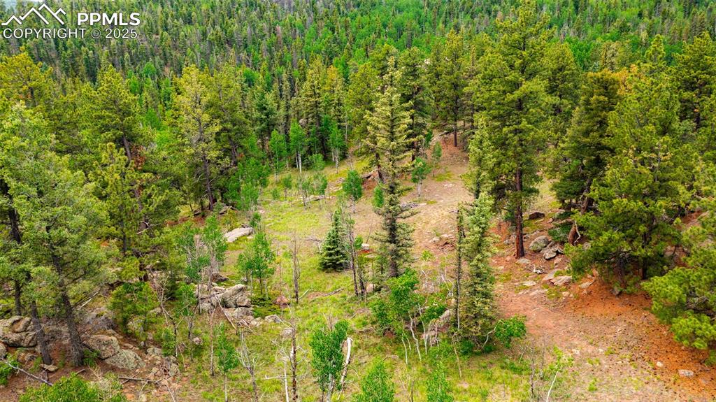 94 & 146 County Road 403 Florissant CO 80816