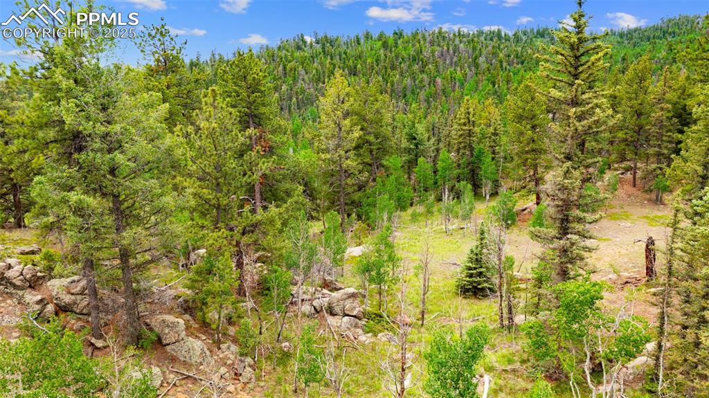94 & 146 County Road 403 Florissant CO 80816