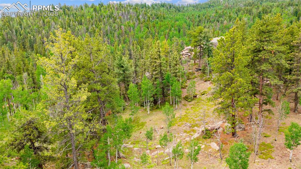 94 & 146 County Road 403 Florissant CO 80816