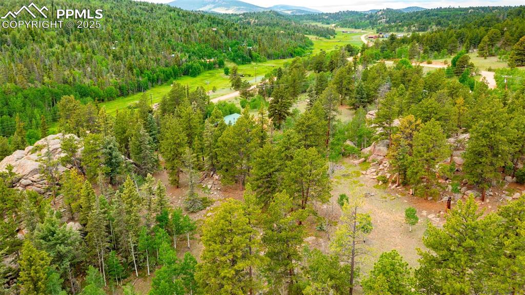 94 & 146 County Road 403 Florissant CO 80816