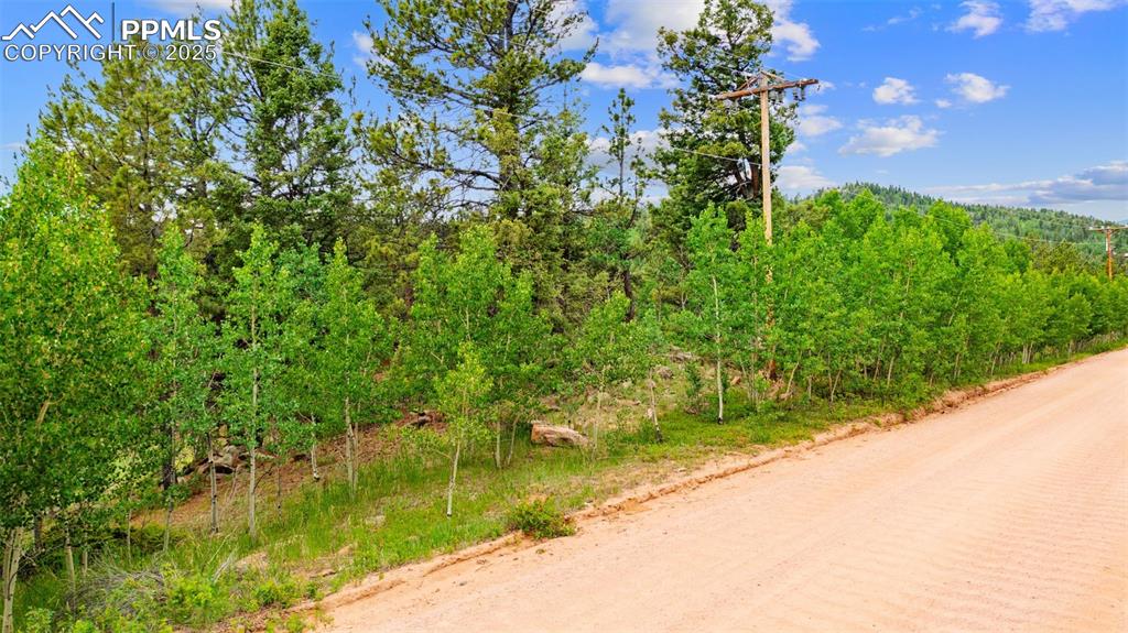 94 & 146 County Road 403 Florissant CO 80816