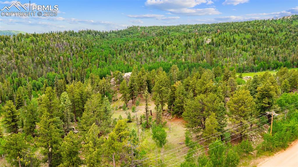 94 & 146 County Road 403 Florissant CO 80816