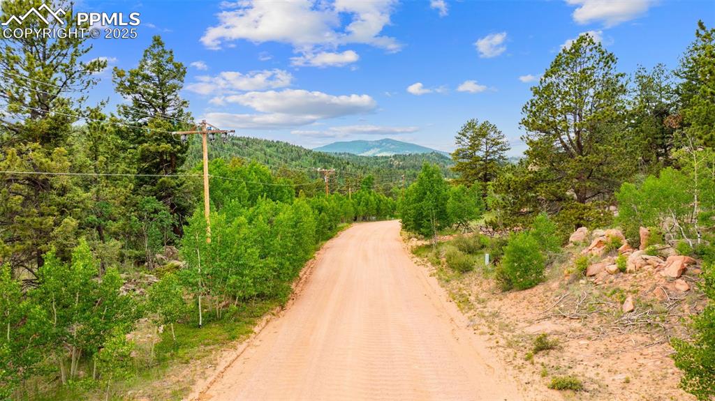 94 & 146 County Road 403 Florissant CO 80816