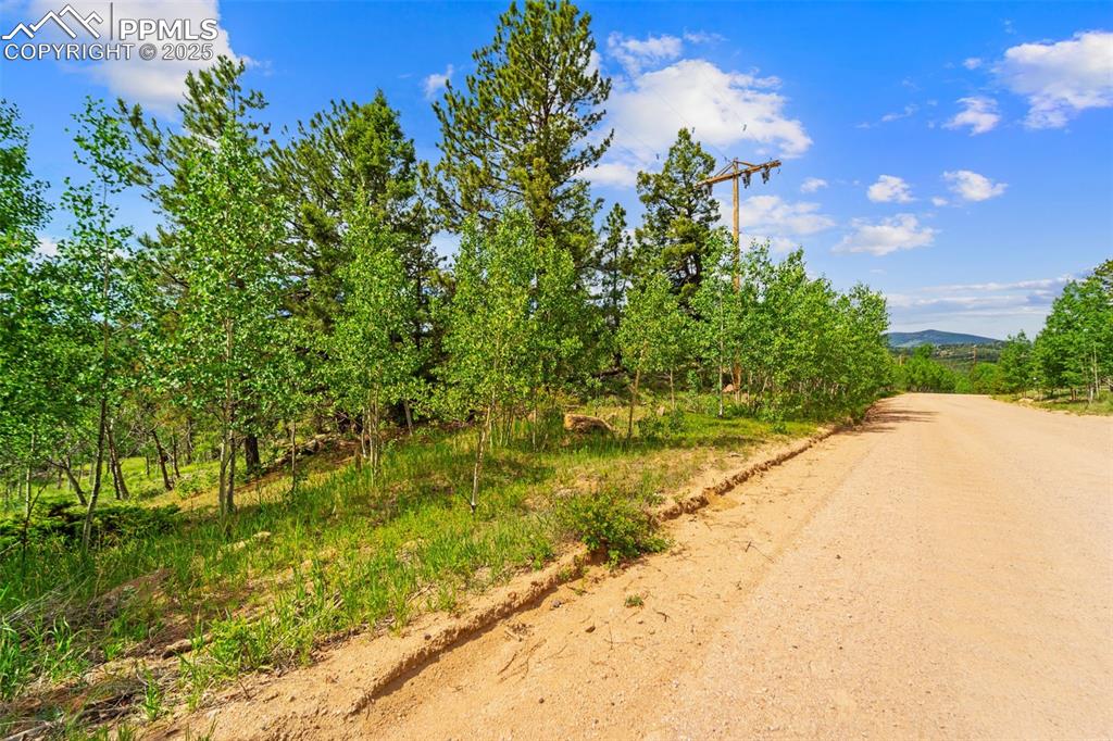 94 & 146 County Road 403 Florissant CO 80816