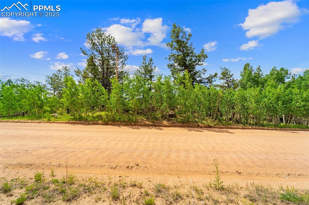 94 & 146 County Road 403 Florissant CO 80816