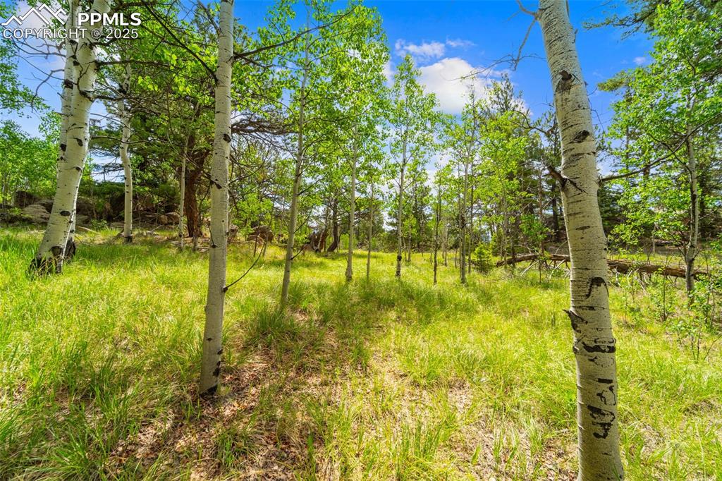 94 & 146 County Road 403 Florissant CO 80816