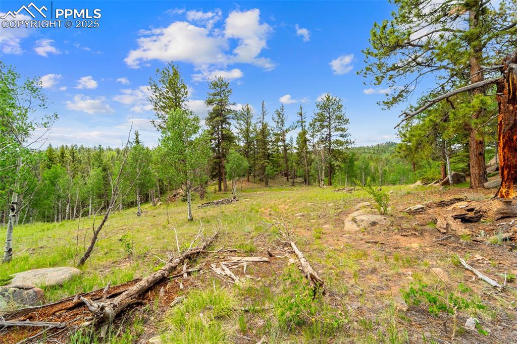 94 & 146 County Road 403 Florissant CO 80816