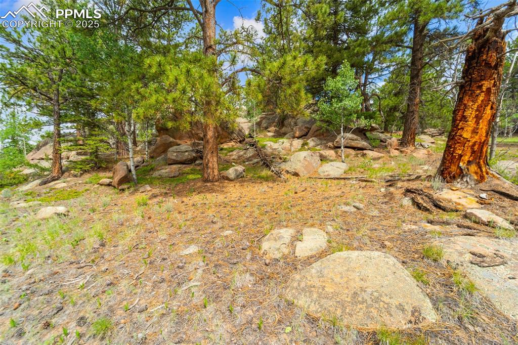 94 & 146 County Road 403 Florissant CO 80816