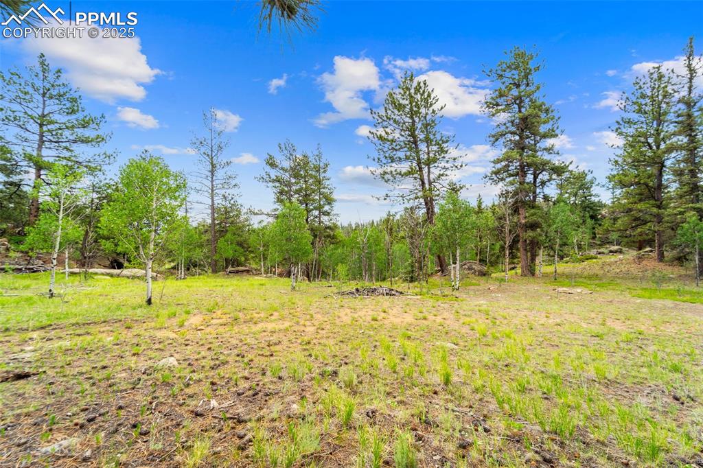 94 & 146 County Road 403 Florissant CO 80816