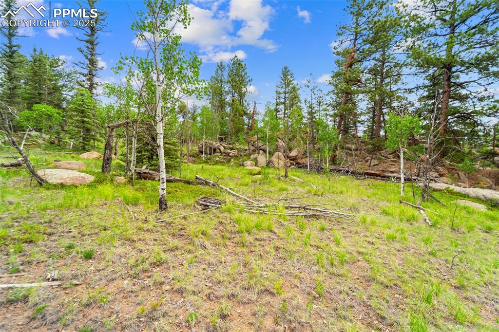 94 & 146 County Road 403 Florissant CO 80816