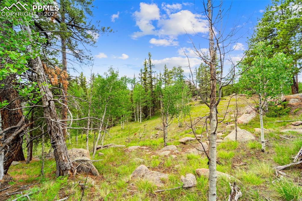 94 & 146 County Road 403 Florissant CO 80816