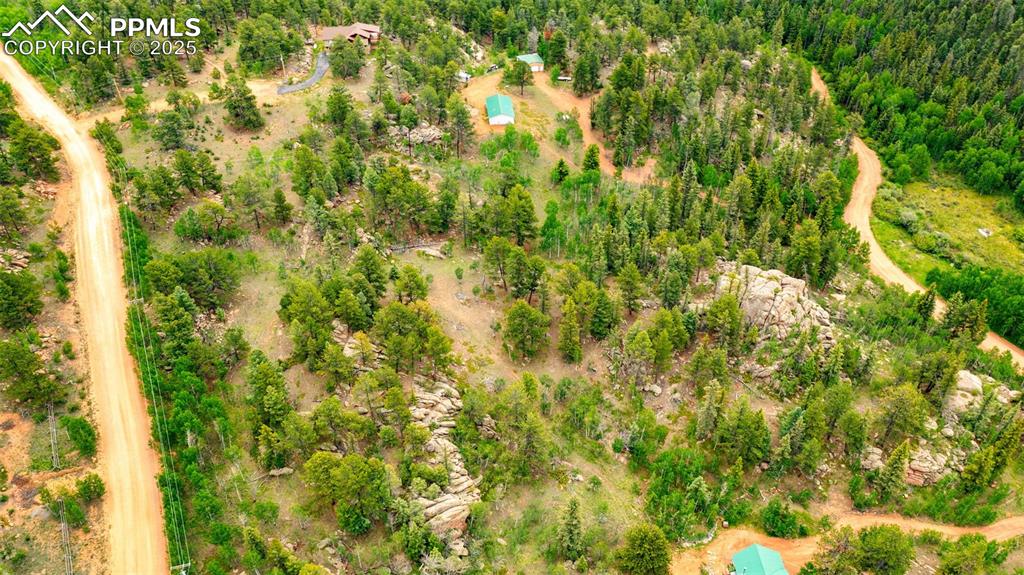 94 & 146 County Road 403 Florissant CO 80816