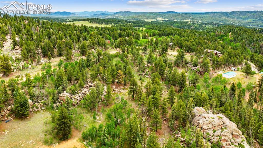 94 & 146 County Road 403 Florissant CO 80816