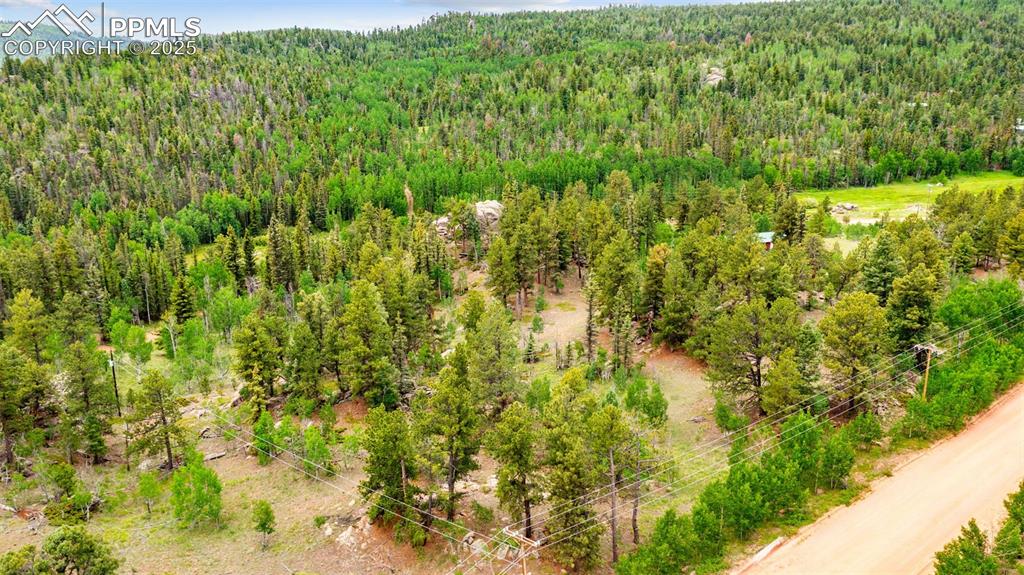 94 & 146 County Road 403 Florissant CO 80816