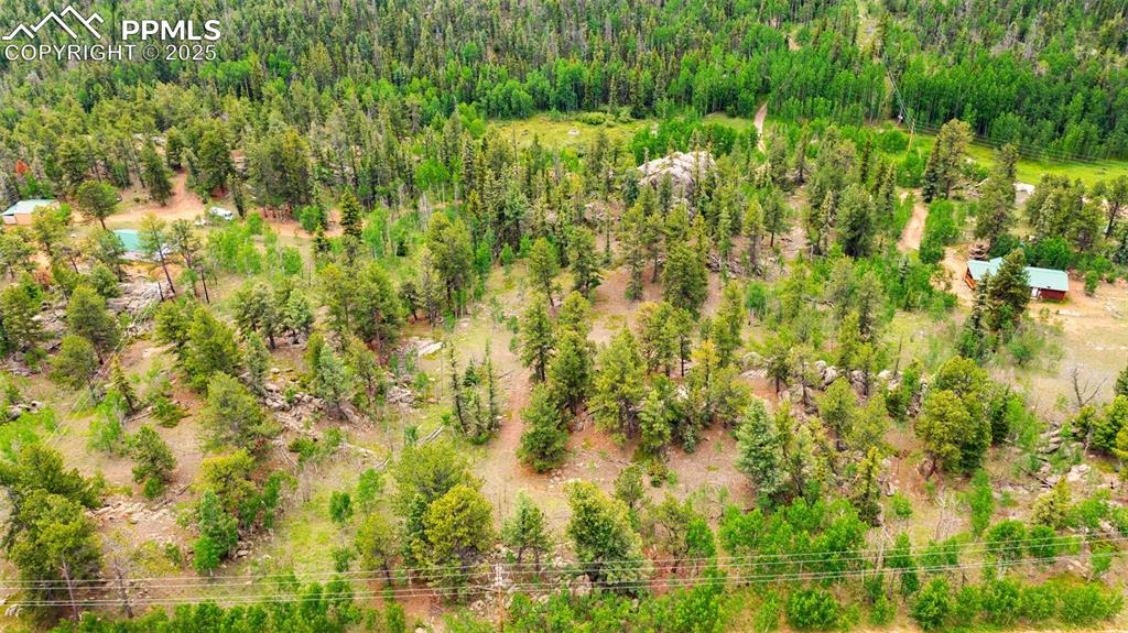 94 & 146 County Road 403 Florissant CO 80816